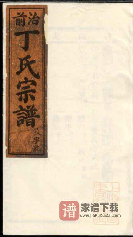 浙江缙云丁氏重修宗谱（治前丁氏宗谱，光绪15年）PDF高清电子版下载-家谱下载