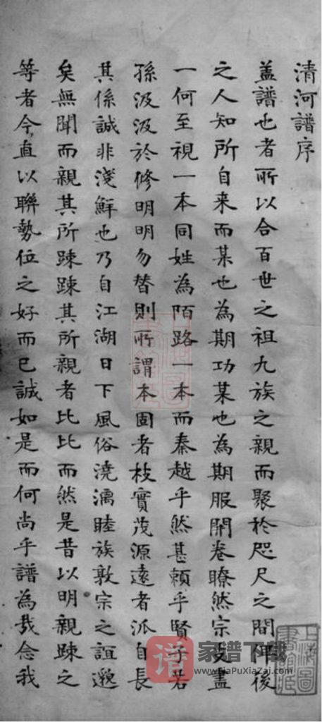 图片[1]-上海浦东张氏清河谱PDF高清电子版下载-家谱下载