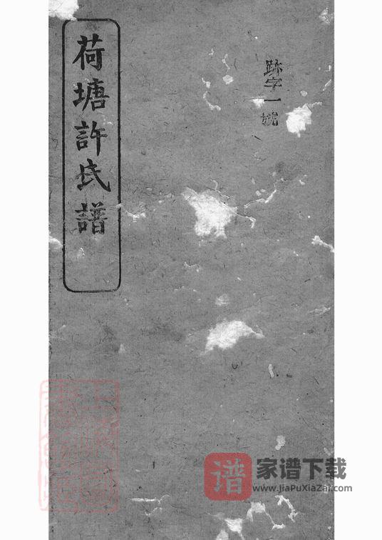 湖南岳阳荷塘许氏谱(高阳堂)PDF高清电子版下载-家谱下载