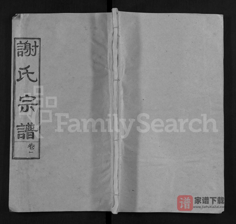 图片[1]-湖北黄冈谢氏宗谱（宝树堂）PDF高清电子版下载-家谱下载