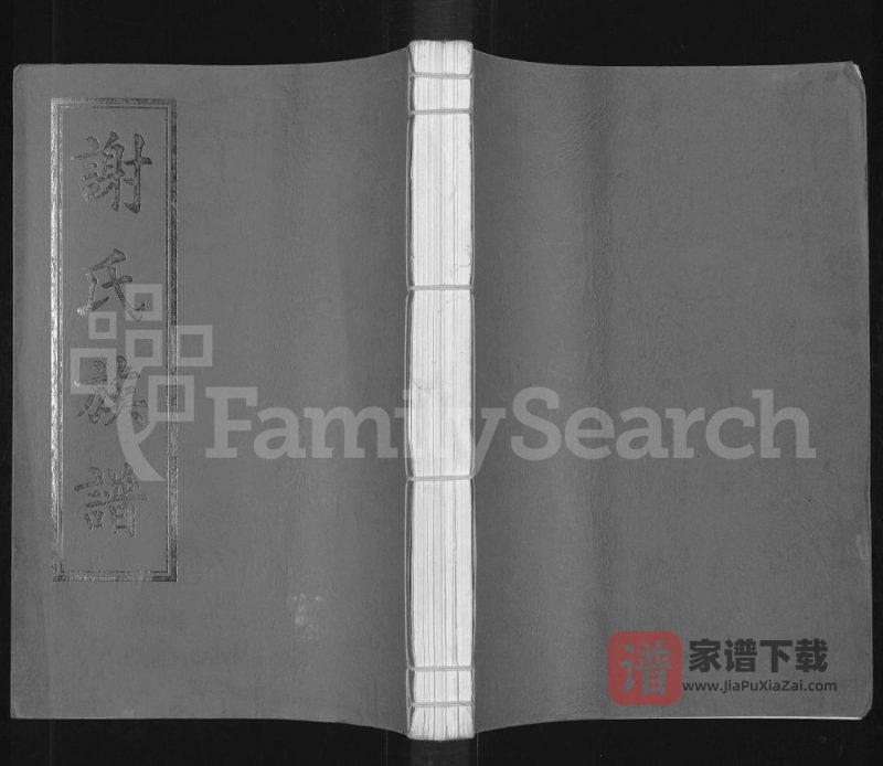 广东雷州谢氏族谱(宝树堂)PDF高清电子版下载-家谱下载