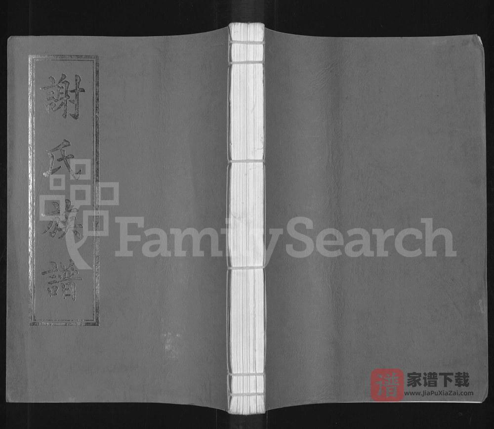 图片[1]-广东雷州谢氏族谱（宝树堂）PDF高清电子版下载-家谱下载