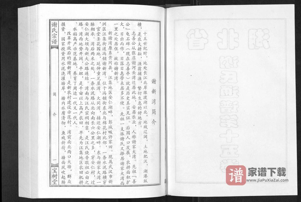 图片[2]-湖北谢氏通谱（宝树堂）PDF高清电子版下载-家谱下载