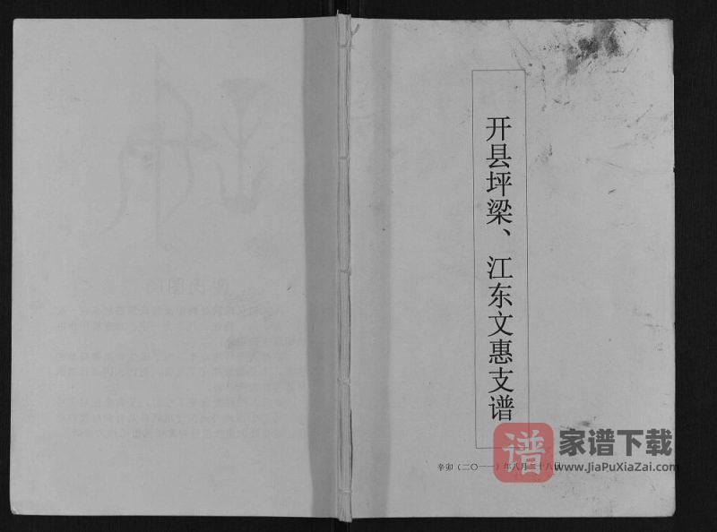 重庆开州区坪梁谢氏江东文惠支谱PDF高清电子版下载-家谱下载