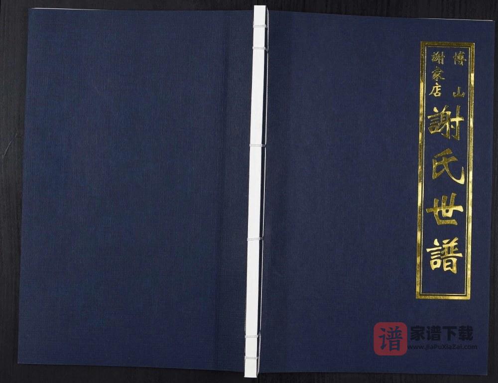 图片[1]-山东淄博博山区谢家店谢氏世谱PDF高清电子版下载-家谱下载