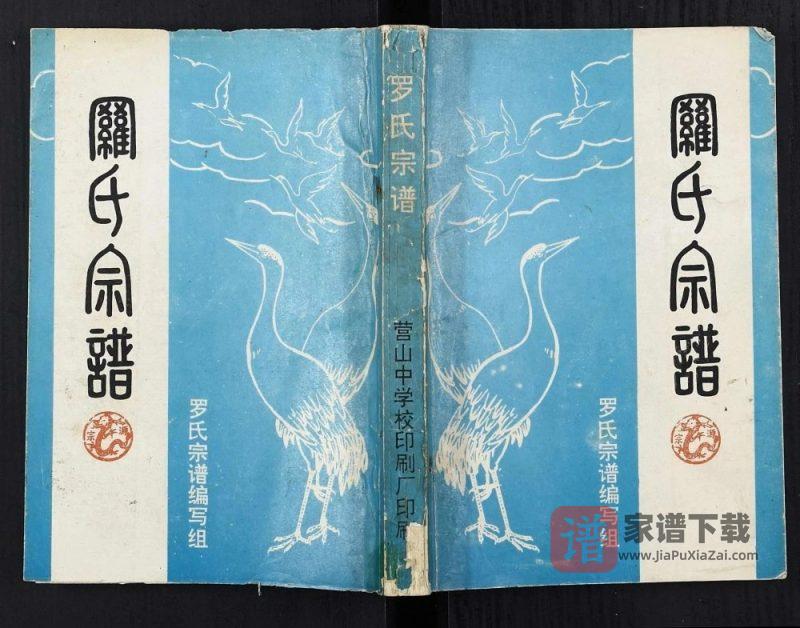 四川南充营山罗氏宗谱PDF高清电子版下载-家谱下载