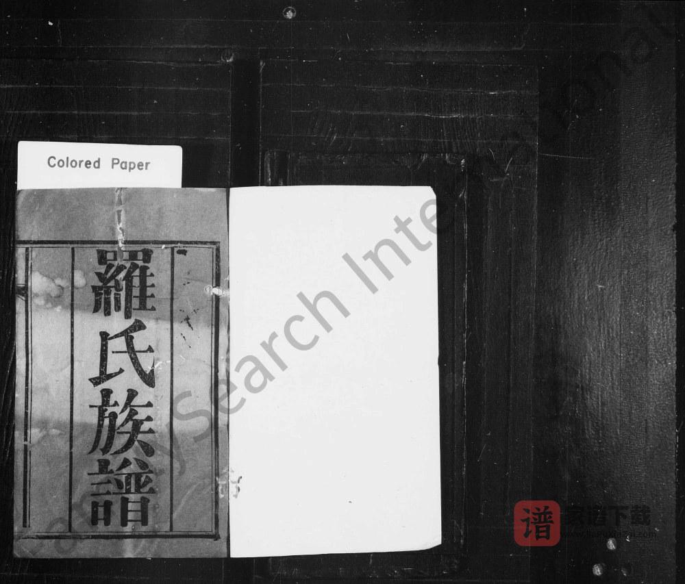 四川简阳罗氏族谱PDF高清电子版下载