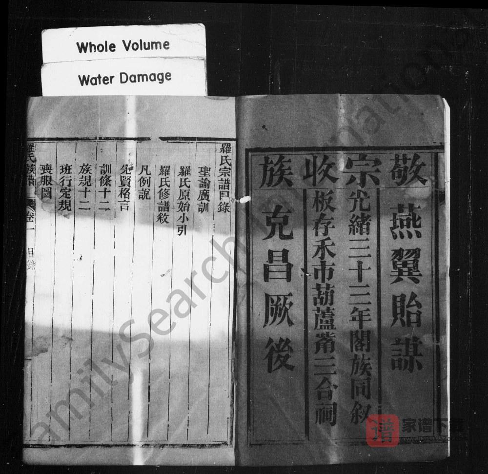 图片[2]-四川简阳罗氏族谱PDF高清电子版下载-家谱下载