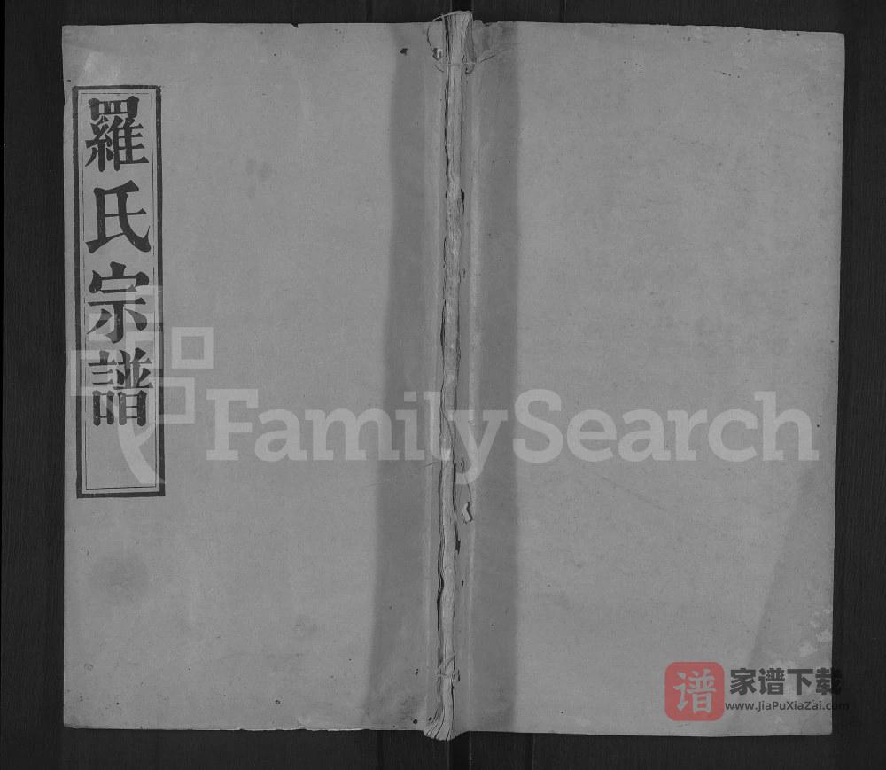 图片[1]-湖北黄冈罗氏宗谱（尽心堂）PDF高清电子版下载-家谱下载