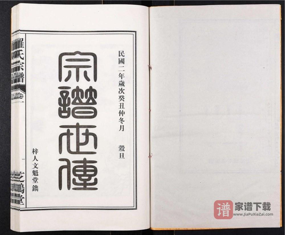 图片[2]-安徽合肥罗氏宗谱（芝鹤堂）PDF高清电子版下载-家谱下载