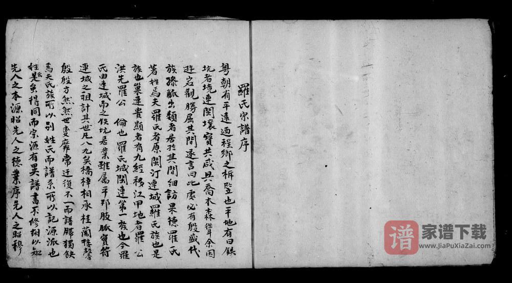 图片[1]-台湾省罗氏族谱PDF高清电子版下载-家谱下载