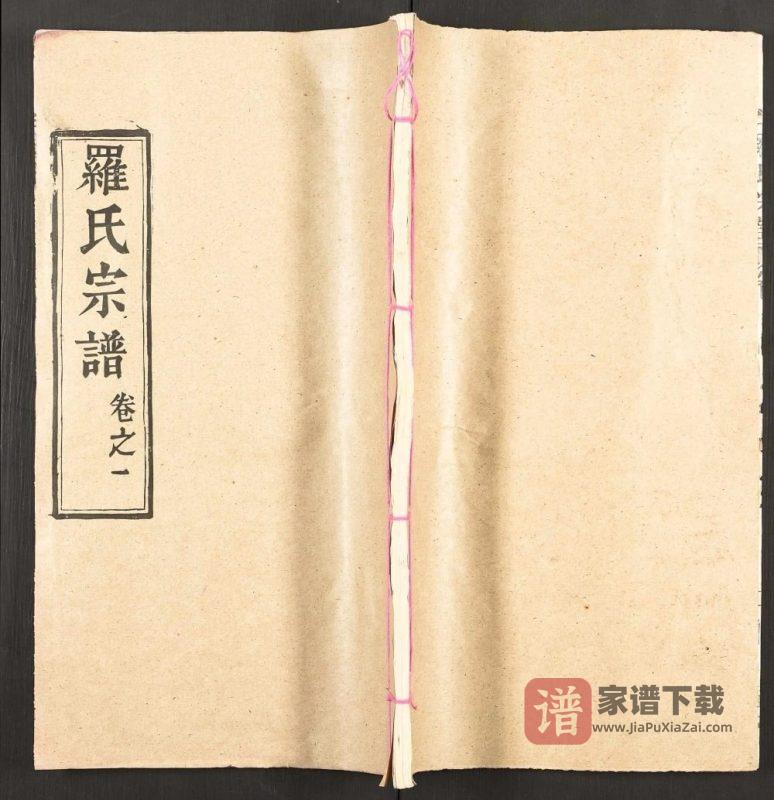 湖北武汉新洲区罗氏宗谱(敦本堂)PDF高清电子版下载-家谱下载