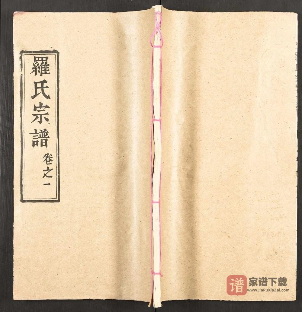 图片[1]-湖北武汉新洲区罗氏宗谱（敦本堂）PDF高清电子版下载-家谱下载