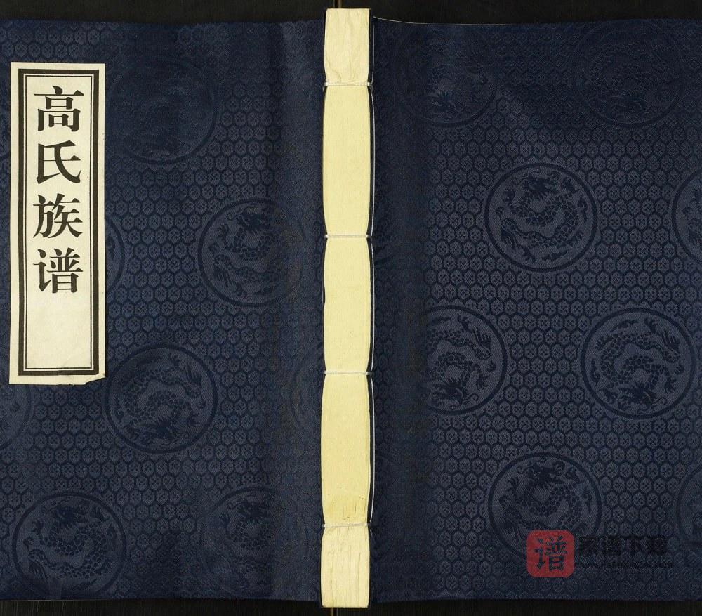 图片[1]-河北沧州盐山县高家营高氏谱书（仁亲堂）PDF高清电子版下载-家谱下载