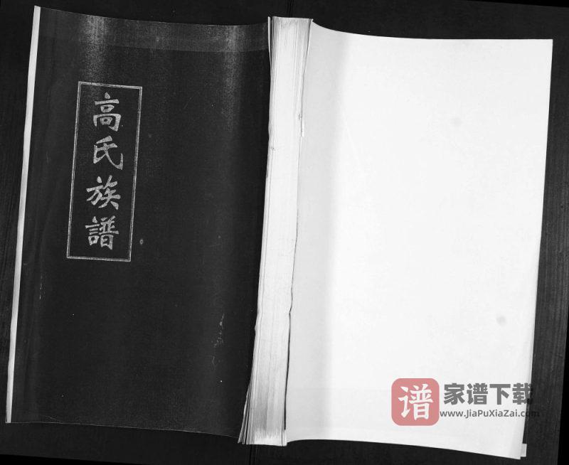 山东青岛即墨区高氏族谱碓臼泊支PDF高清电子版下载-家谱下载