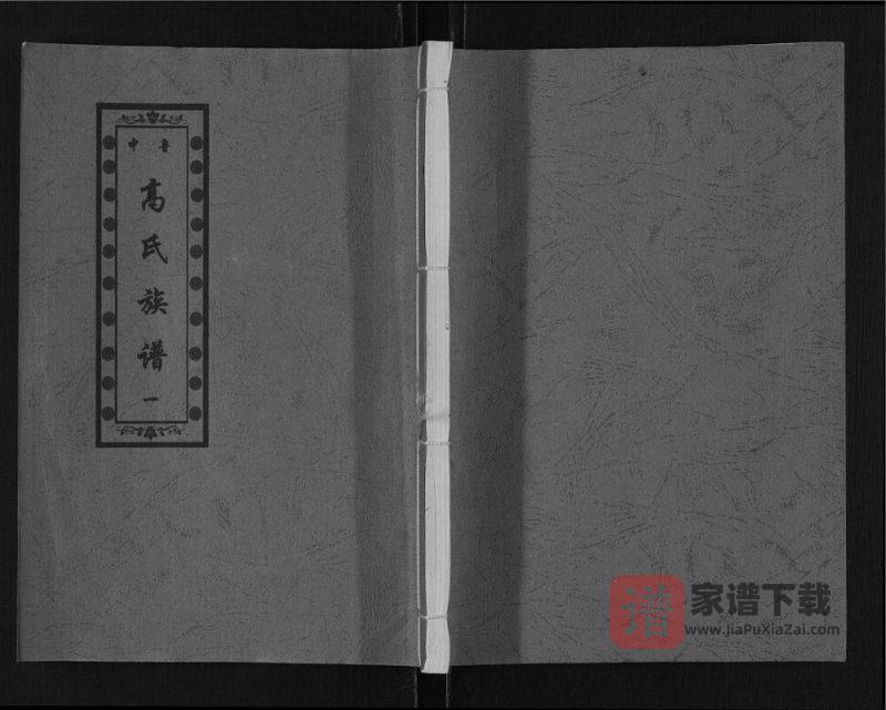 山东济宁汶上县鲁中高氏族谱PDF高清电子版下载-家谱下载