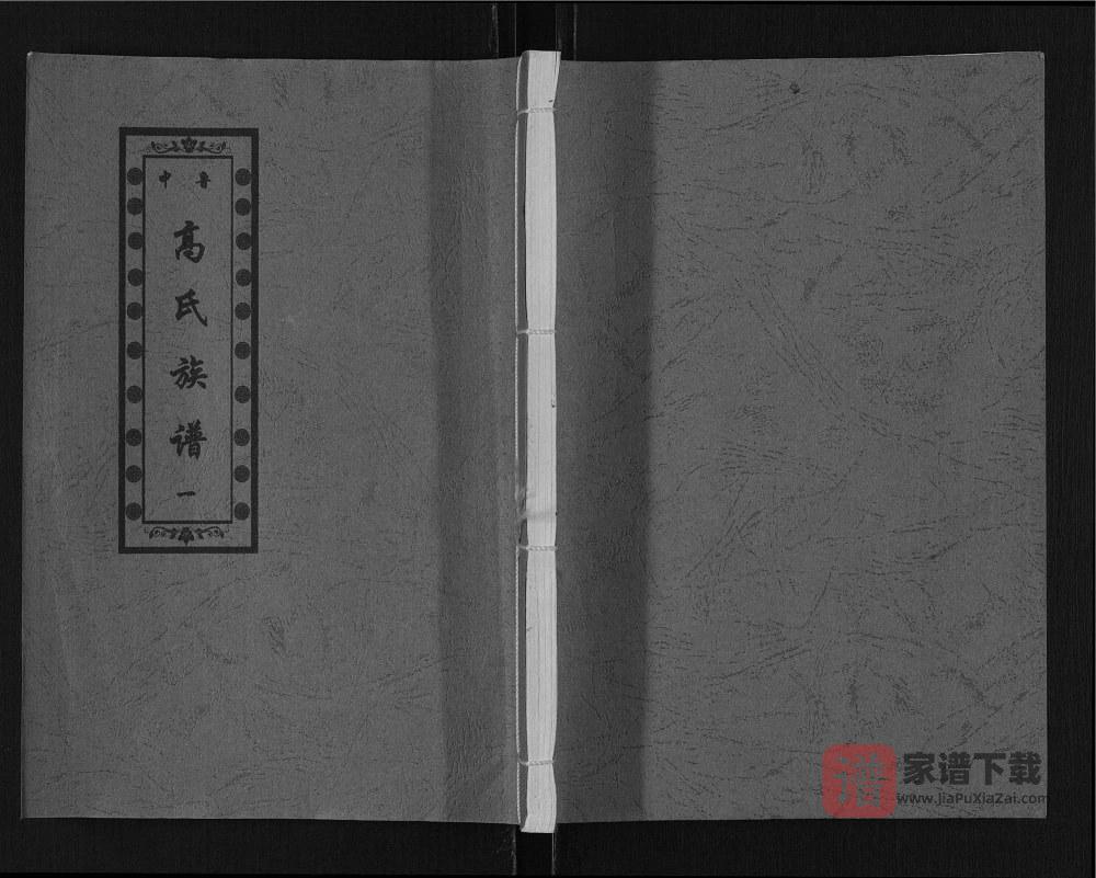 图片[1]-山东济宁汶上县鲁中高氏族谱PDF高清电子版下载-家谱下载