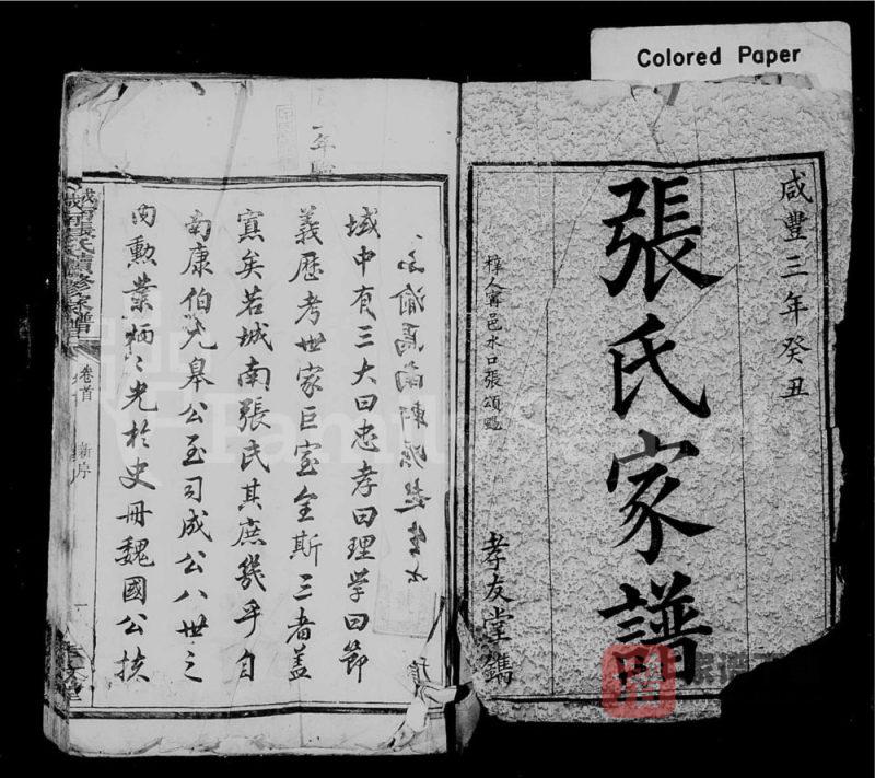 湖南长沙城南张氏续修家谱(孝友堂)PDF高清电子版下载-家谱下载