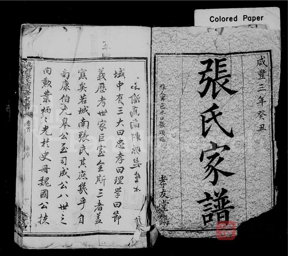 图片[1]-湖南长沙城南张氏续修家谱（孝友堂）PDF高清电子版下载-家谱下载
