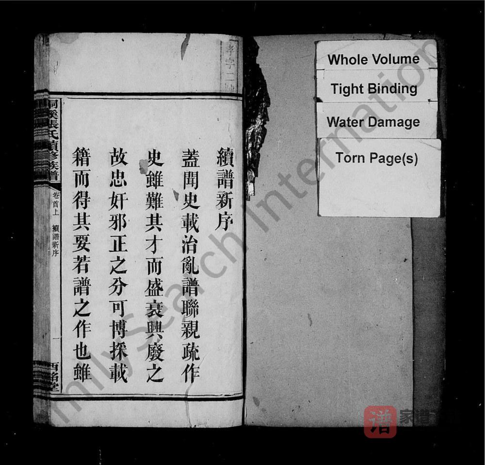 图片[2]-湖南湘乡桐溪张氏续修族谱（西铭堂）PDF高清电子版下载-家谱下载