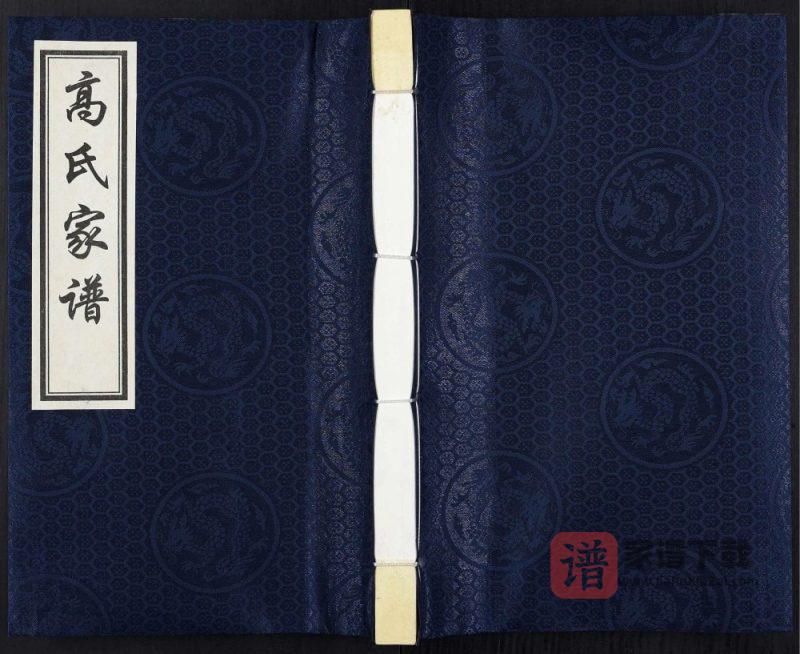 河北泊头市寺门村高氏族谱PDF高清电子版下载-家谱下载