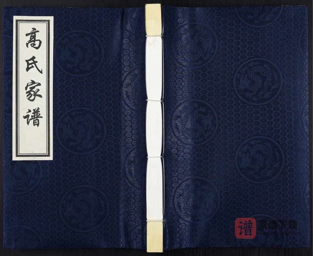 河北泊头市寺门村高氏族谱PDF高清电子版下载