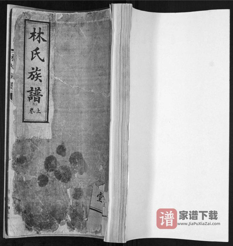 山东青岛林氏族谱(睦族堂)PDF高清电子版下载-家谱下载