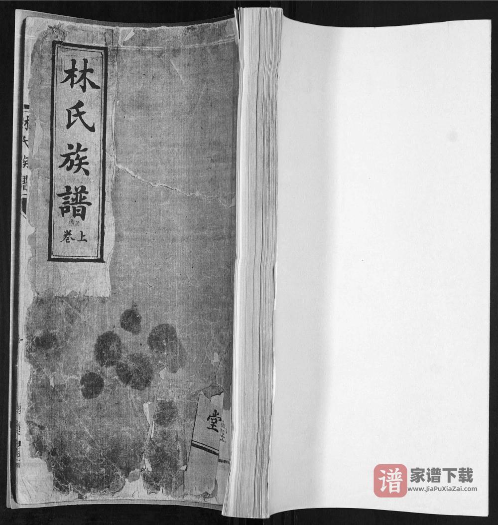 山东青岛林氏族谱（睦族堂）PDF高清电子版下载