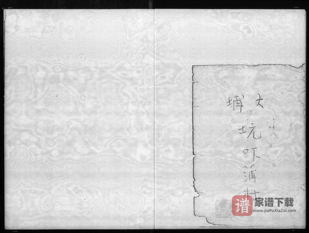 香港大埔坑吓蒲村林氏族谱PDF高清电子版下载
