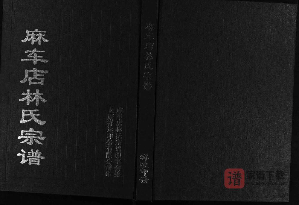 浙江永康麻车店林氏宗谱PDF高清电子版下载