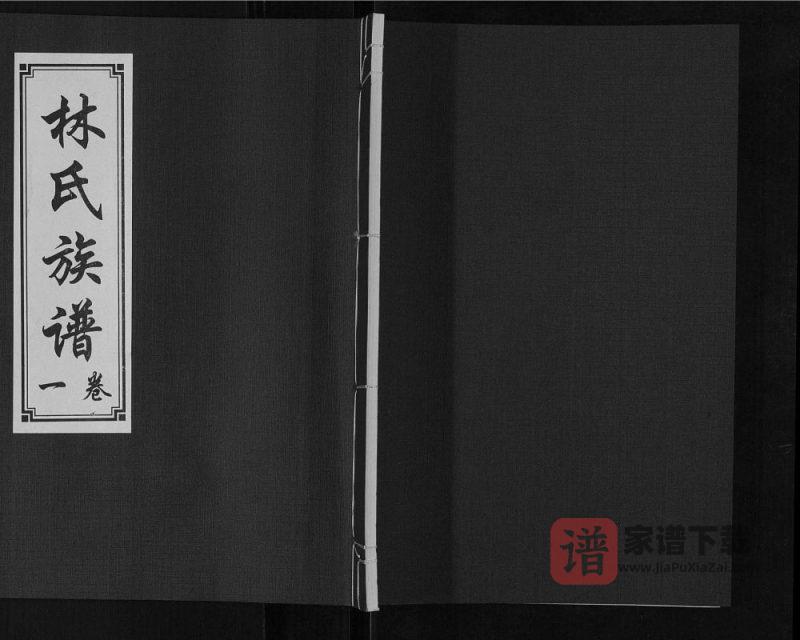 山东济宁汶上县林氏族谱（问礼堂）PDF高清电子版下载-家谱下载
