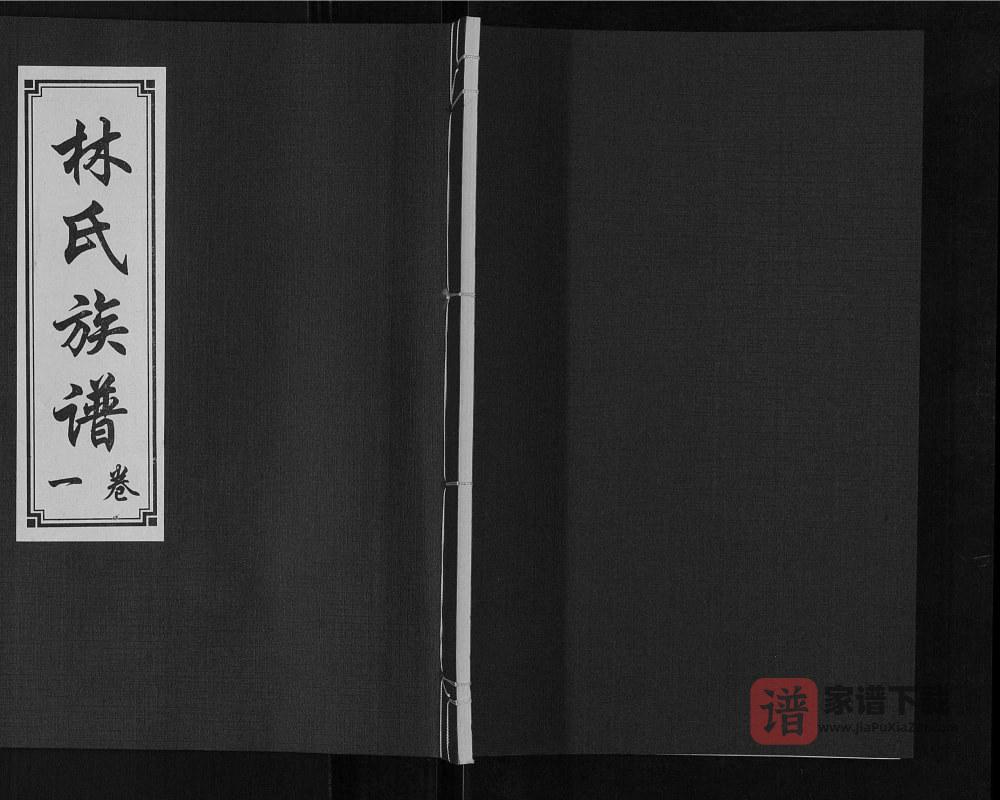 山东济宁汶上县林氏族谱（问礼堂）PDF高清电子版下载