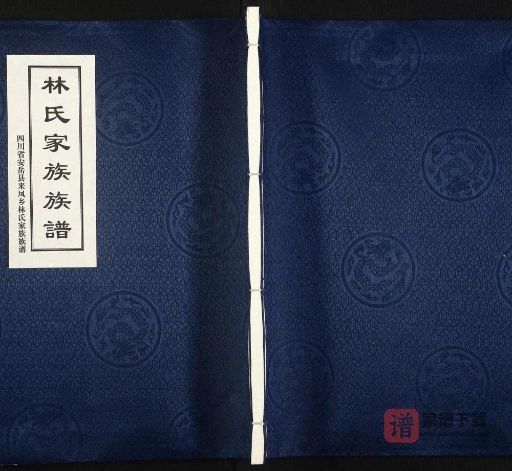 图片[1]-四川资阳安岳县林氏家谱族谱PDF高清电子版下载-家谱下载