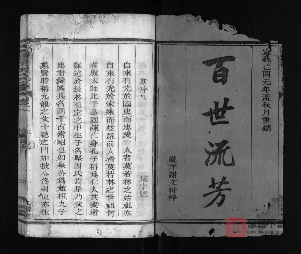 图片[2]-江浙续修洪步林氏宗谱（九牧堂）PDF高清电子版下载-家谱下载