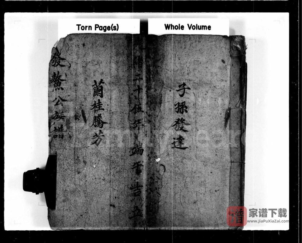 图片[1]-香港新界屏山石埔村林氏族谱PDF高清电子版下载-家谱下载