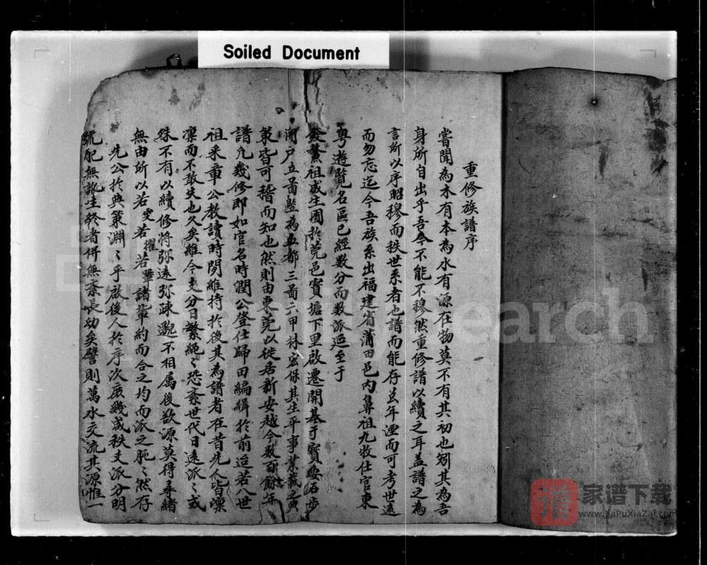图片[2]-香港新界屏山石埔村林氏族谱PDF高清电子版下载-家谱下载
