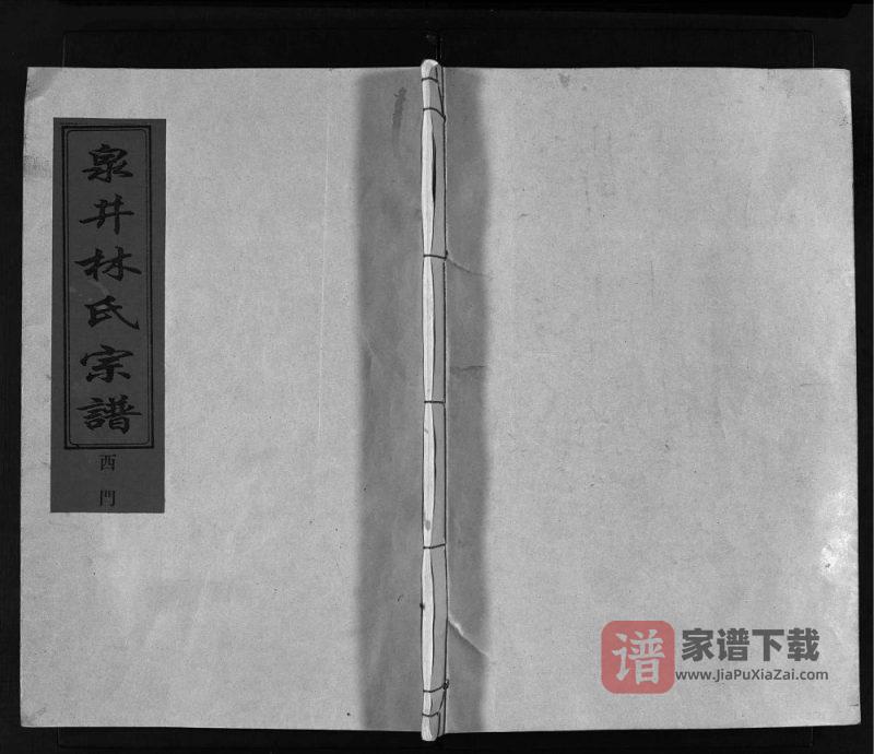 浙江台州路桥泉井林氏宗谱PDF高清电子版下载-家谱下载