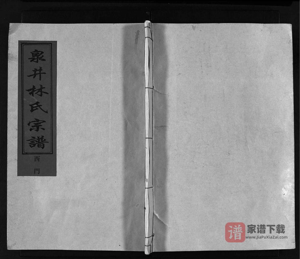 图片[1]-浙江台州路桥泉井林氏宗谱PDF高清电子版下载-家谱下载