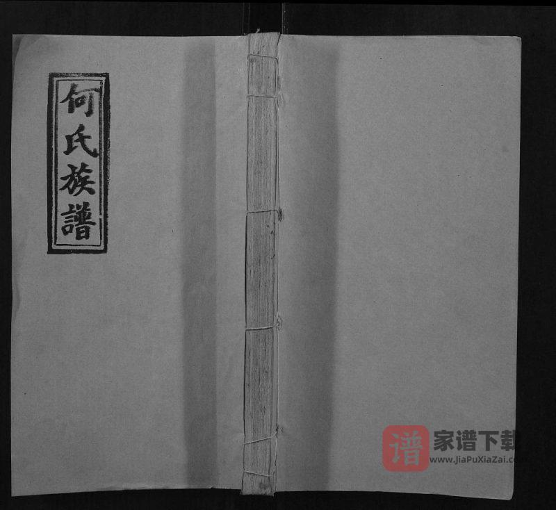 湖南邵阳何氏五修族谱(九九堂)PDF高清电子版下载-家谱下载