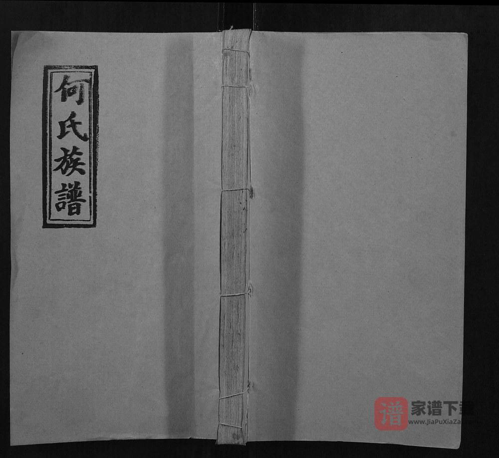 图片[1]-湖南邵阳何氏五修族谱（九九堂）PDF高清电子版下载-家谱下载