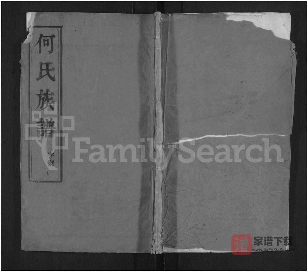 图片[1]-江苏扬州维扬江都何氏重修族谱PDF高清电子版下载-家谱下载
