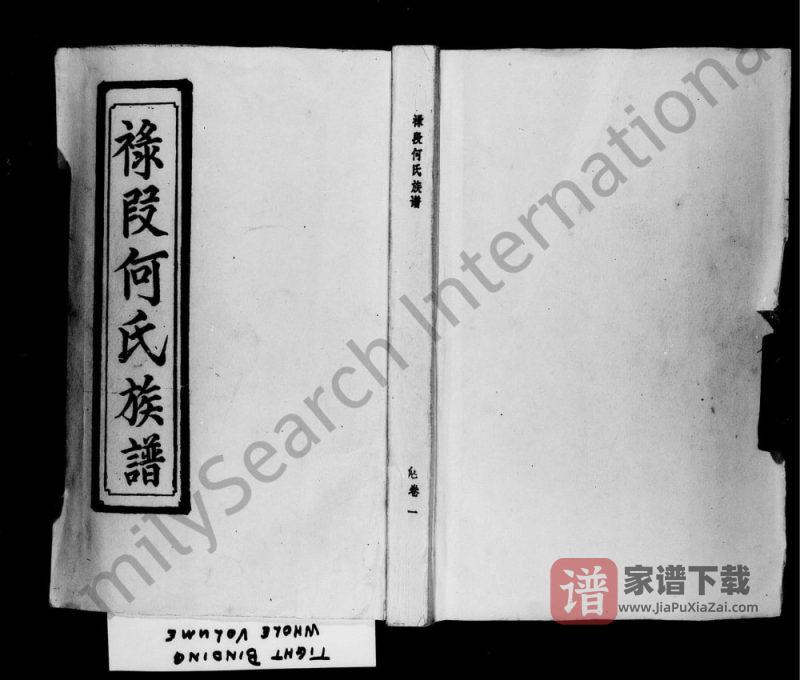 广东茂名电白区禄段何氏族谱PDF高清电子版下载-家谱下载