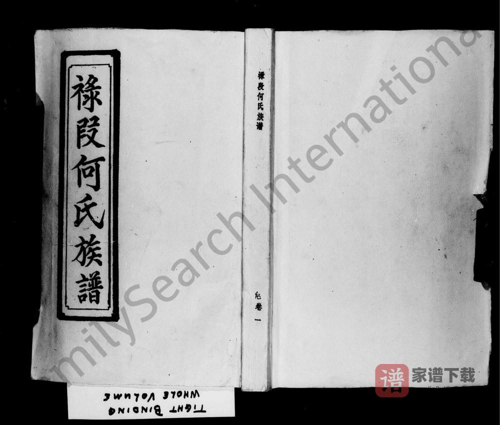 图片[1]-广东茂名电白区禄段何氏族谱PDF高清电子版下载-家谱下载