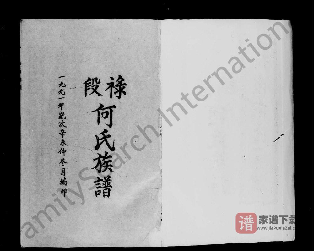 图片[2]-广东茂名电白区禄段何氏族谱PDF高清电子版下载-家谱下载