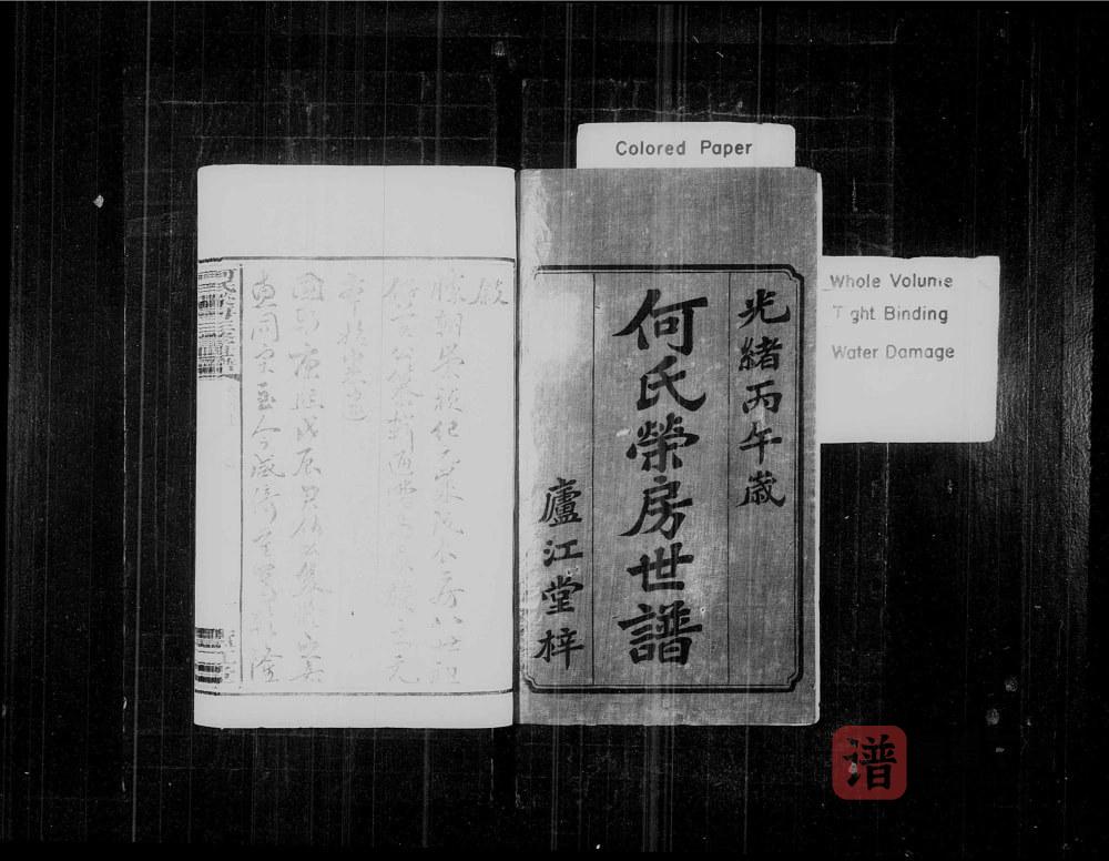图片[2]-湖南湘乡城前何氏荣房三修世谱（庐江堂）PDF高清电子版下载-家谱下载