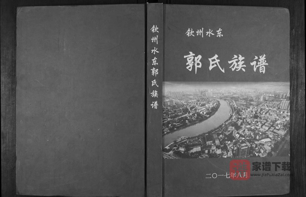 广西钦州水东郭氏族谱（汾阳堂）PDF高清电子版下载