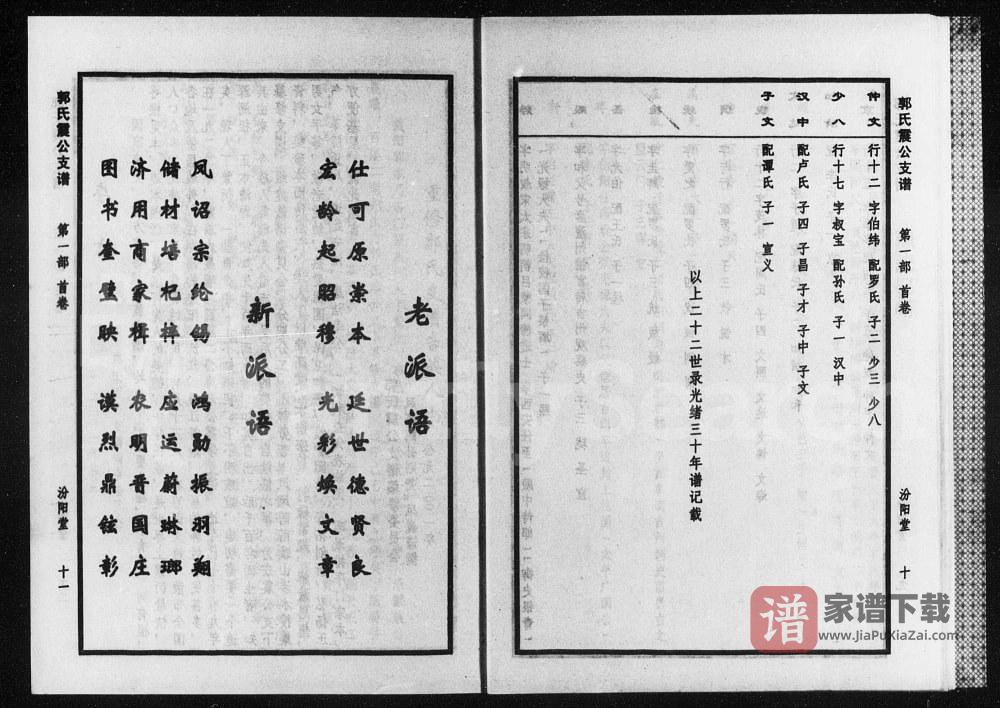 湖南益阳桃江县郭氏震公支谱（汾阳堂）PDF高清电子版下载