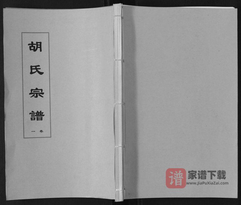 安徽六安舒城县胡氏宗谱(忠德堂)PDF高清电子版下载-家谱下载