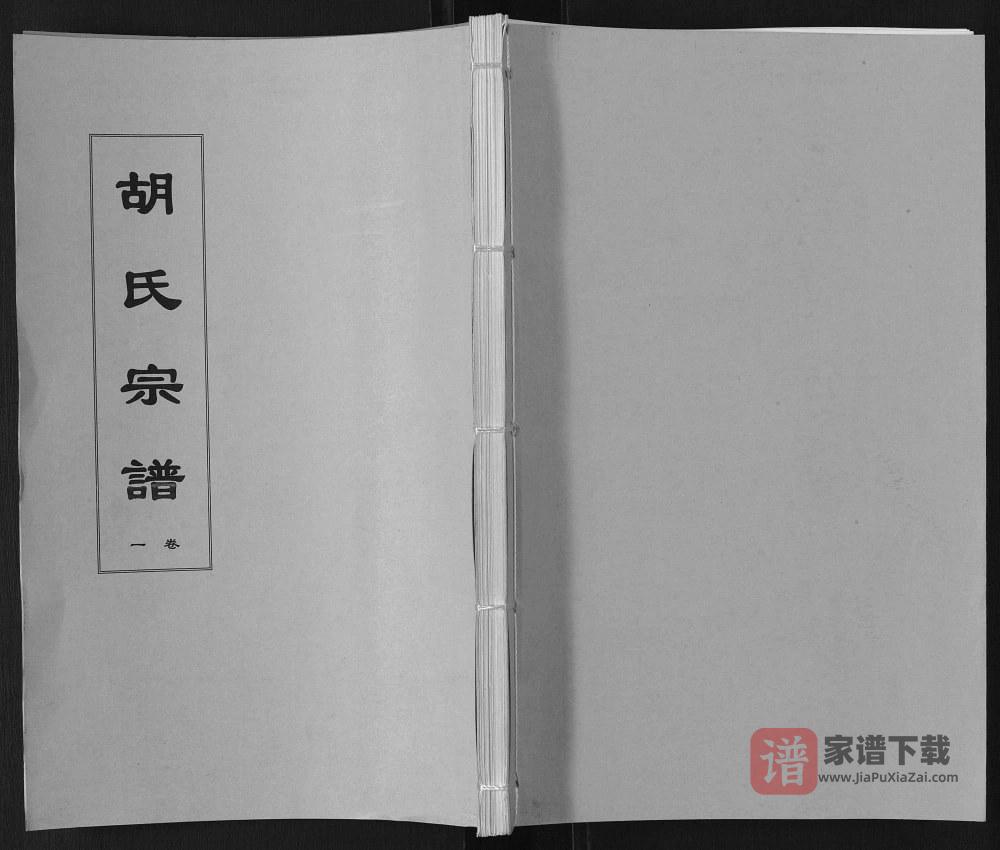 安徽六安舒城县胡氏宗谱（忠德堂）PDF高清电子版下载