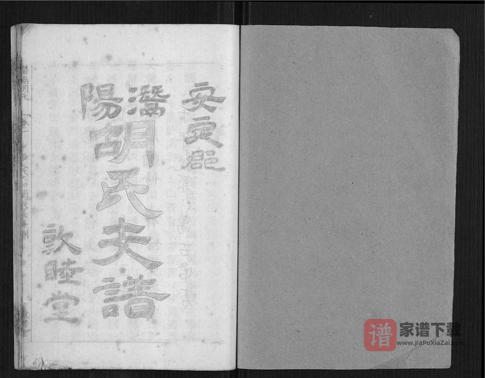 图片[2]-安徽安庆潜山县潜阳胡氏支谱（敦睦堂）PDF高清电子版下载-家谱下载